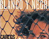 4. Revista BLANCO Y NEGRO  -1998-